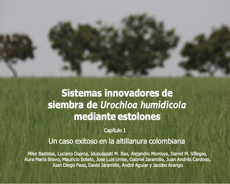 Sistemas innovadores de siembra de Urochloa humidicola - Prorinoquia
